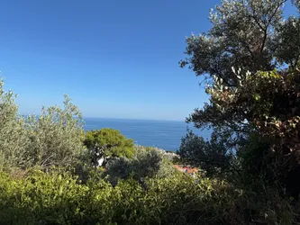 Foto 19.06. 4