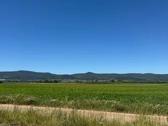 Foto 13.06. 2