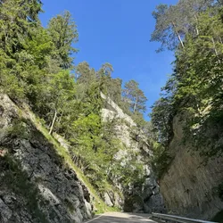 Foto 13.06. 7
