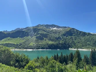 Foto 15.06. 1